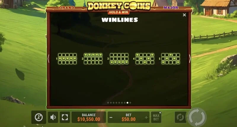 Donkey Coins Hold & Win - grande vittoria nella modalità speciale